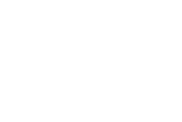 Payoneer logo